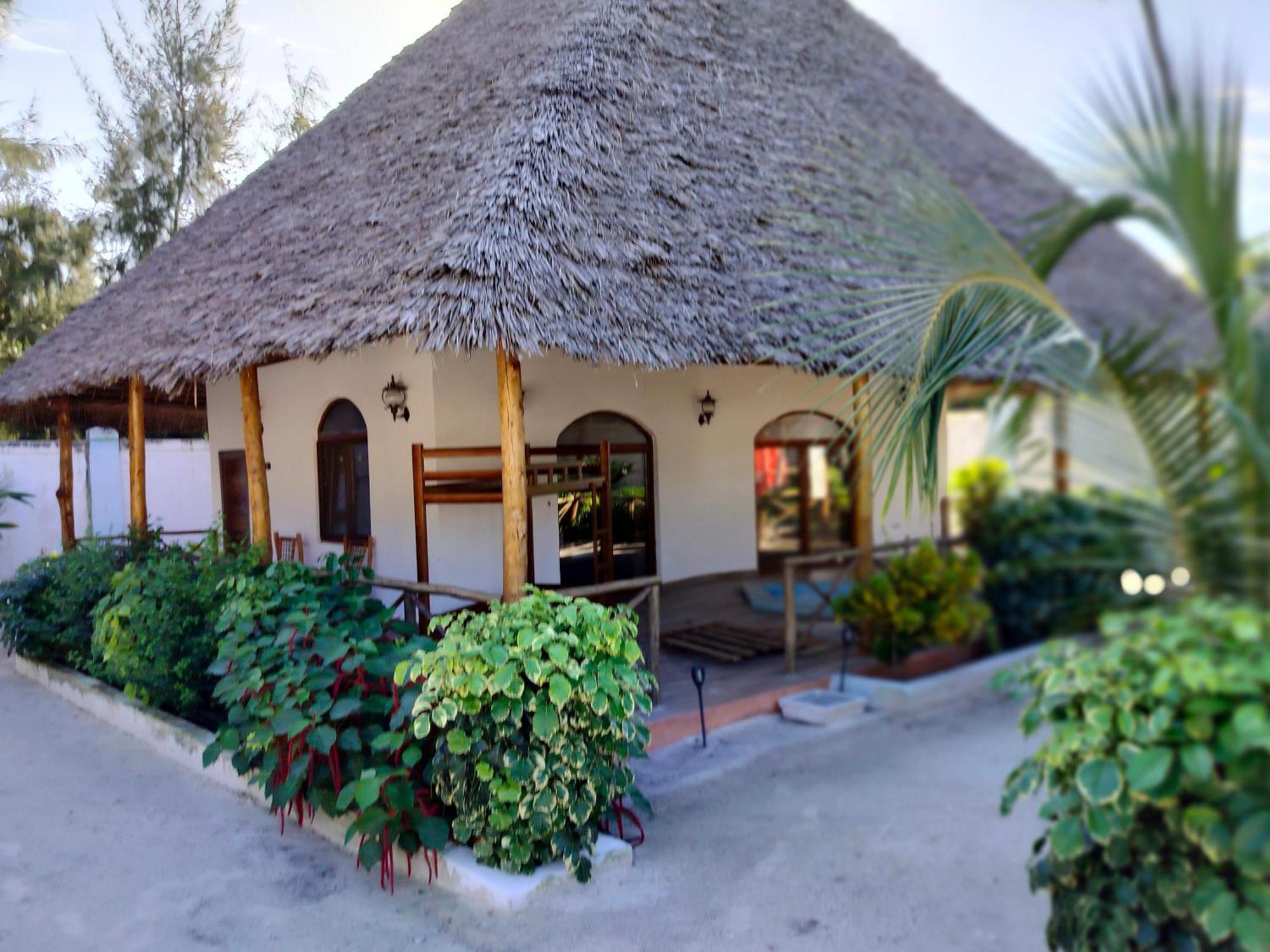 Emerald Dreams Boutique Hotel Michamvi Zewnętrze zdjęcie