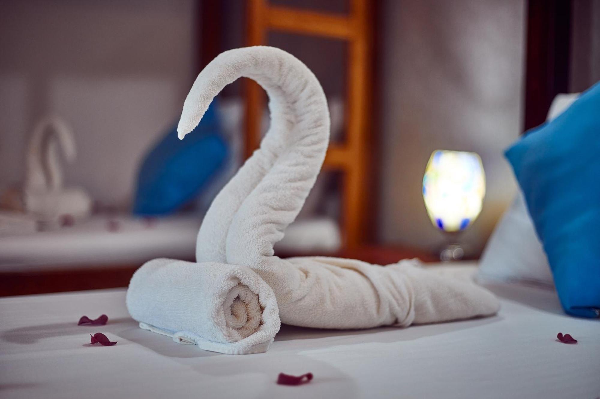 Emerald Dreams Boutique Hotel Michamvi Zewnętrze zdjęcie
